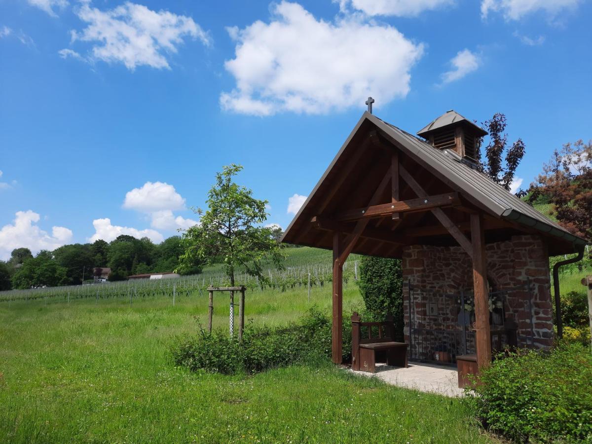 Kafernberg - Weinhotel Alzenau in Unterfranken Exteriér fotografie