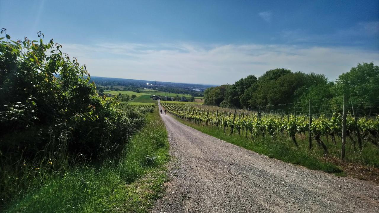 Kafernberg - Weinhotel Alzenau in Unterfranken Exteriér fotografie