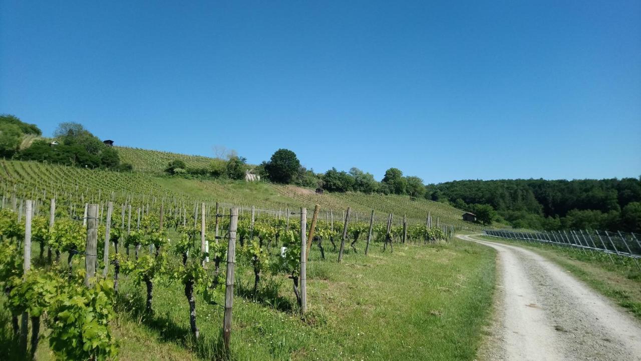 Kafernberg - Weinhotel Alzenau in Unterfranken Exteriér fotografie